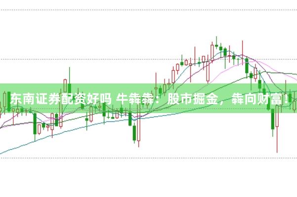 东南证券配资好吗 牛犇犇：股市掘金，犇向财富！