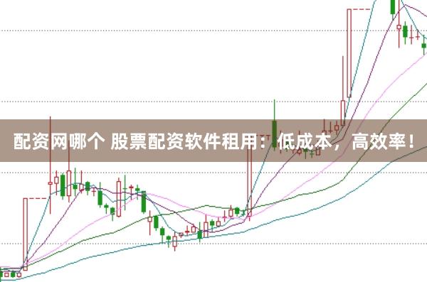 配资网哪个 股票配资软件租用：低成本，高效率！