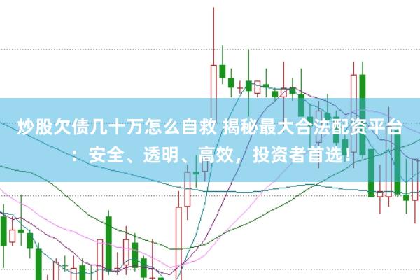炒股欠债几十万怎么自救 揭秘最大合法配资平台：安全、透明、高效，投资者首选！