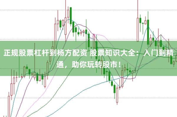 正规股票杠杆到杨方配资 股票知识大全：入门到精通，助你玩转股市！