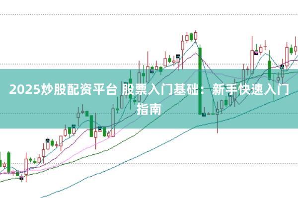 2025炒股配资平台 股票入门基础：新手快速入门指南